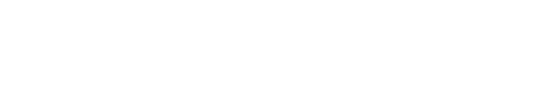 CyberJunior